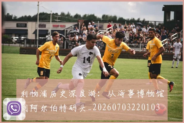利物浦历史深度游：从海事博物馆到阿尔伯特码头_20260703220103