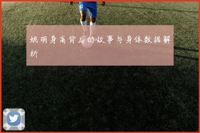 姚明身高背后的故事与身体数据解析