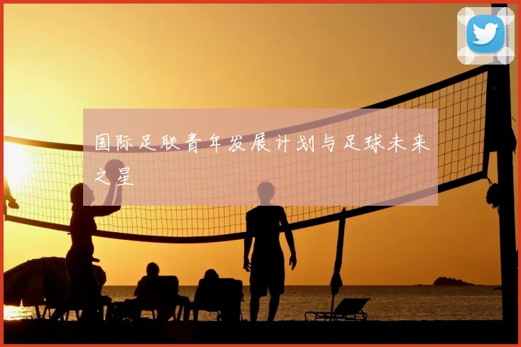 国际足联青年发展计划与足球未来之星